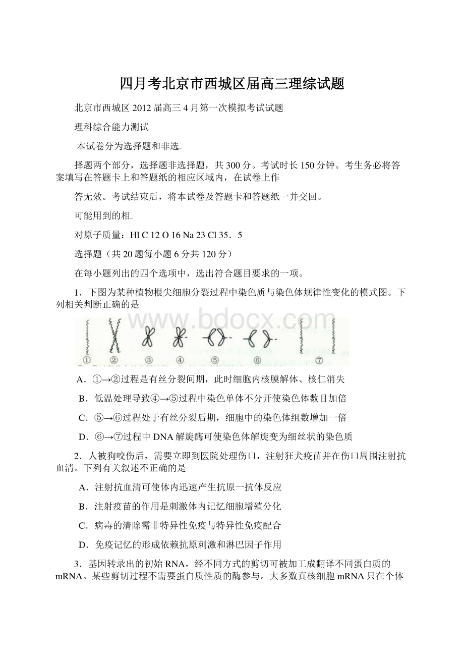 四月考北京市西城区届高三理综试题Word文档下载推荐.docx