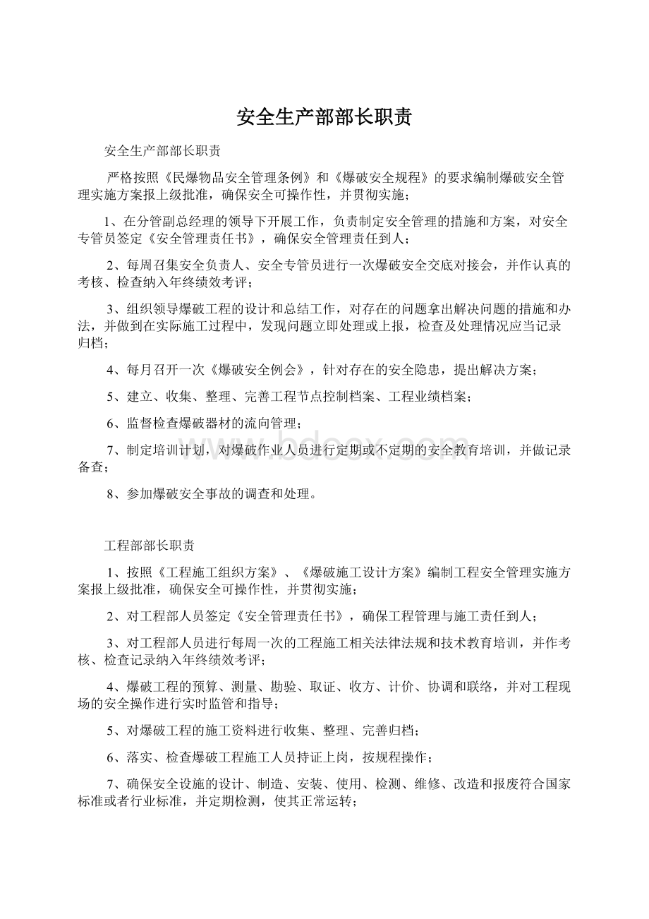 安全生产部部长职责文档格式.docx