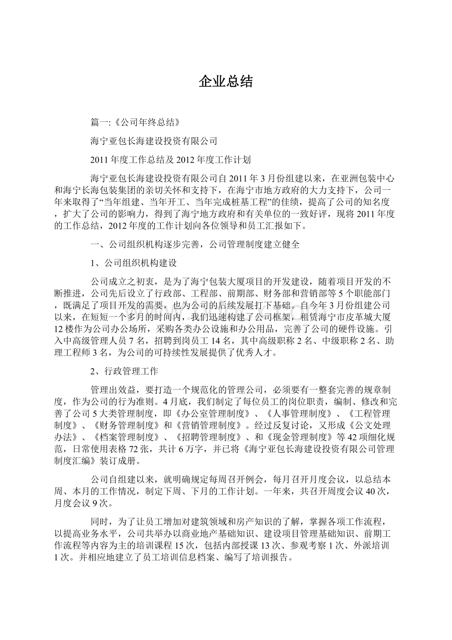 企业总结文档格式.docx