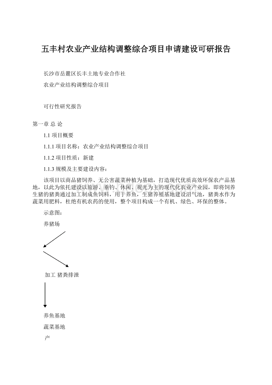 五丰村农业产业结构调整综合项目申请建设可研报告Word文档下载推荐.docx