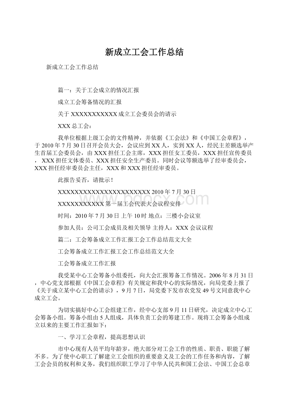 新成立工会工作总结.docx