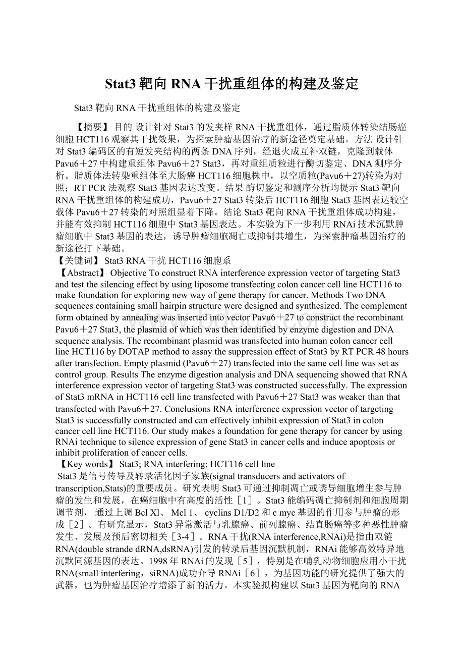 Stat3靶向RNA干扰重组体的构建及鉴定Word下载.docx