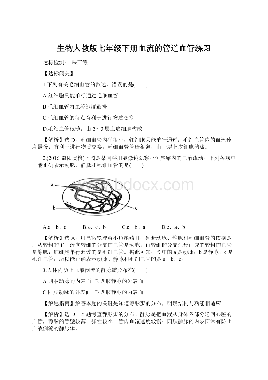 生物人教版七年级下册血流的管道血管练习文档格式.docx_第1页