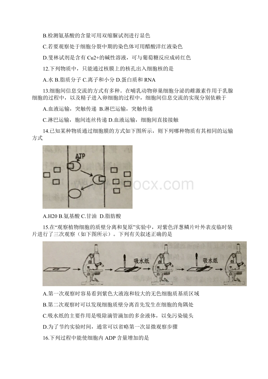 届高三上学期期中考试生物试题含答案Word下载.docx_第3页