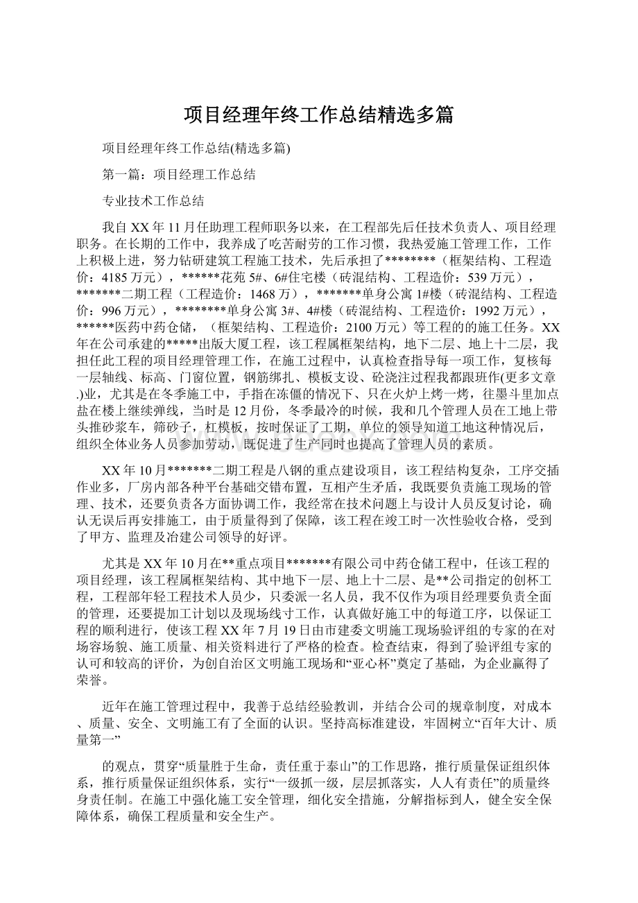 项目经理年终工作总结精选多篇.docx