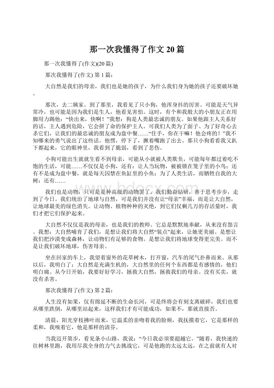 那一次我懂得了作文20篇Word下载.docx