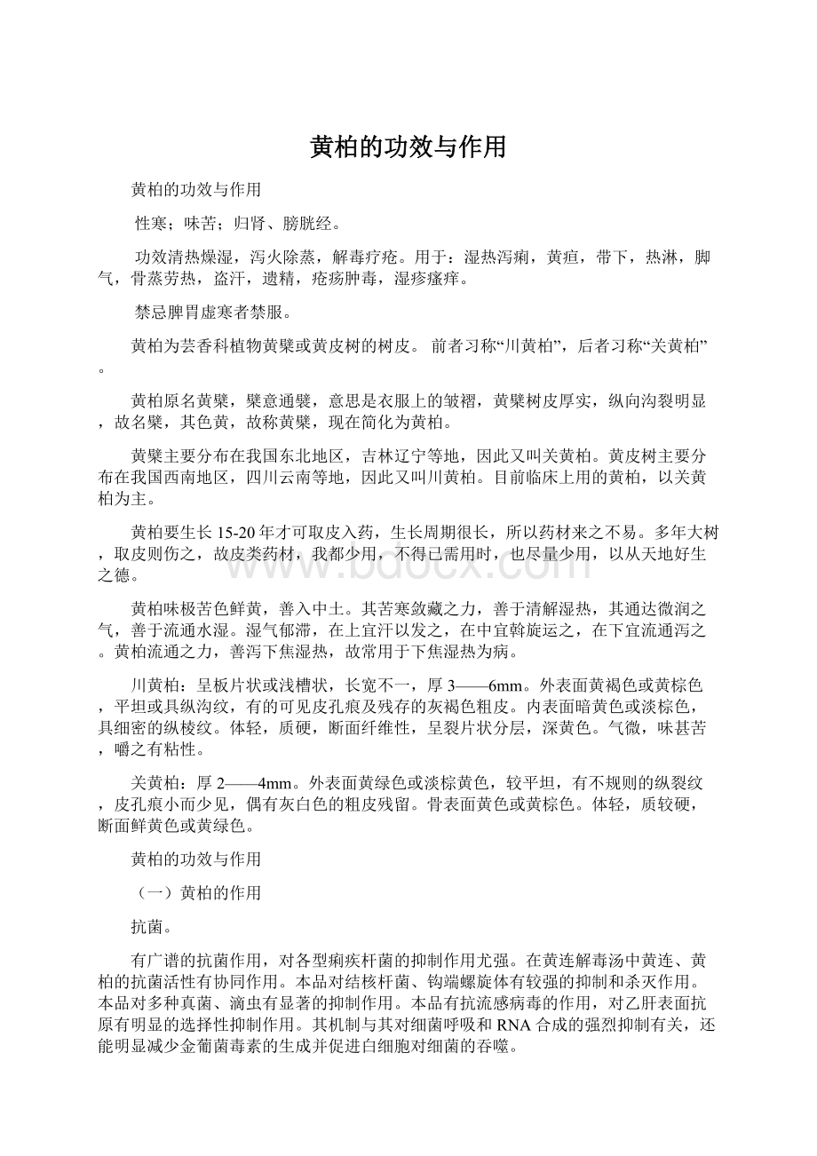 黄柏的功效与作用Word下载.docx