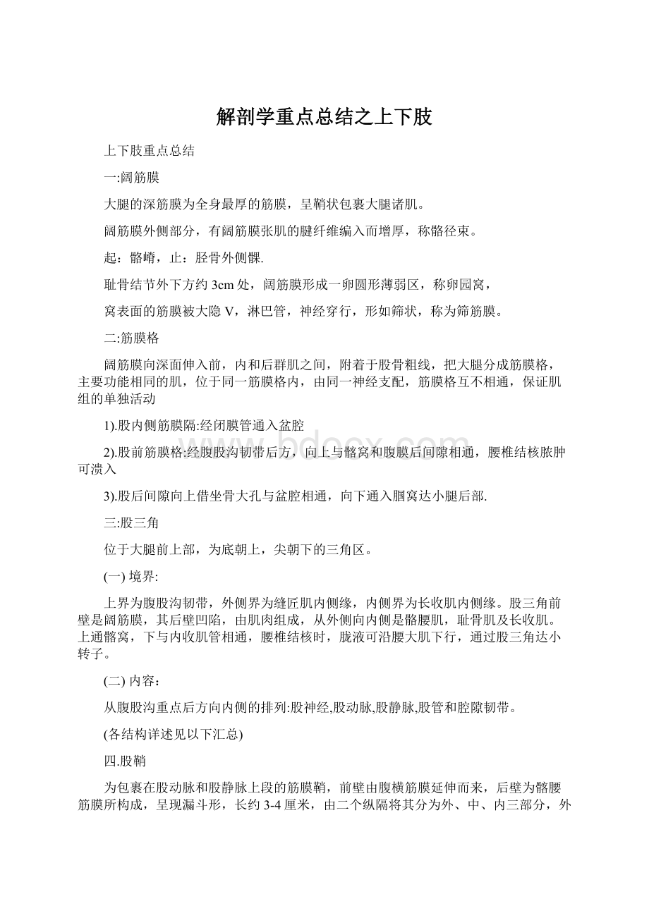 解剖学重点总结之上下肢.docx