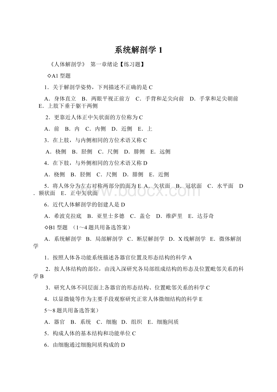 系统解剖学1.docx