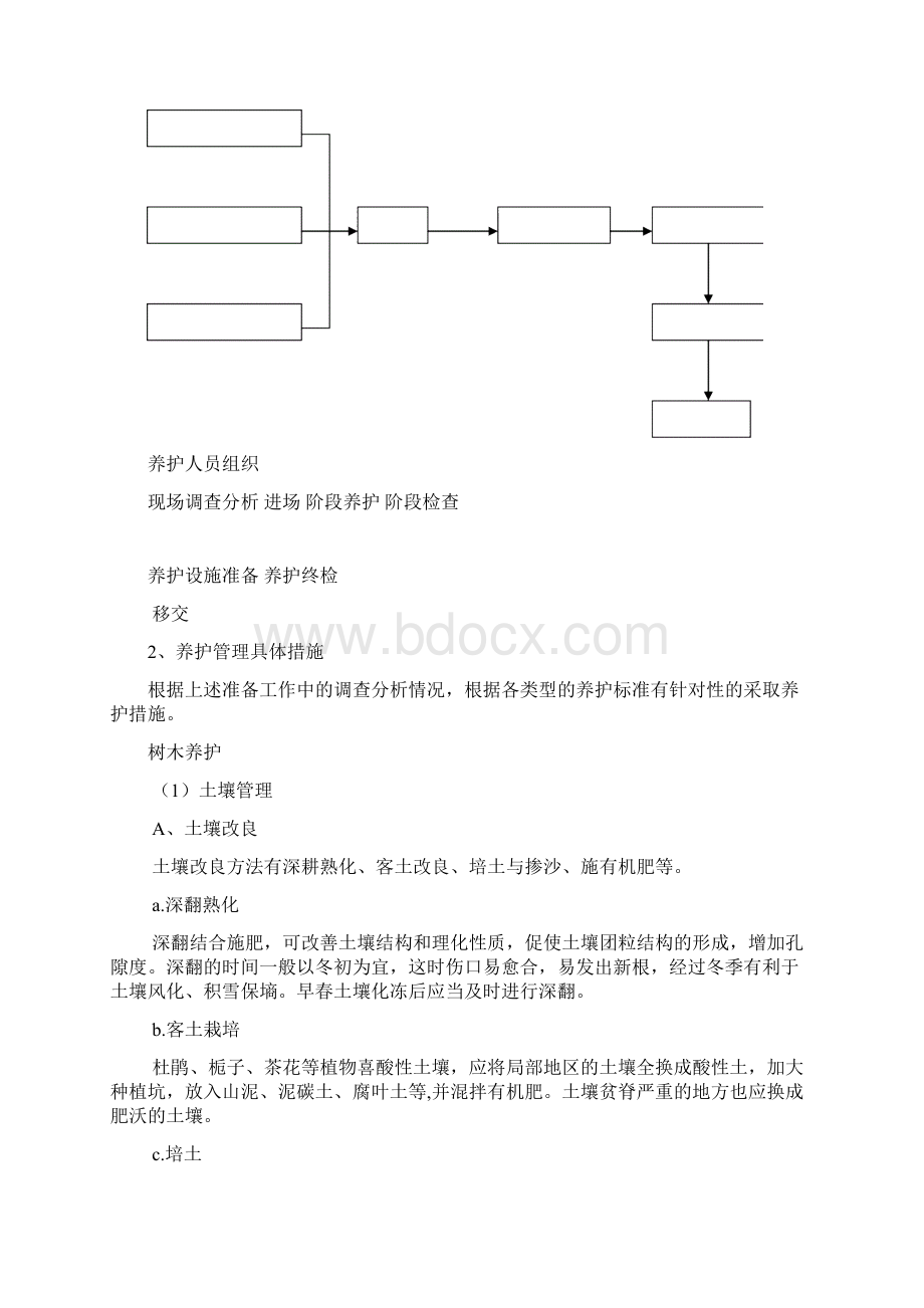 医院绿化养护方案Word格式.docx_第2页