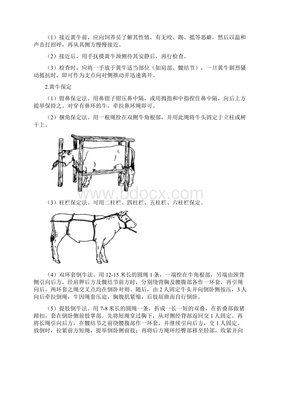 《兽医临床诊断学》实验指导书07动医要点.docx_第3页