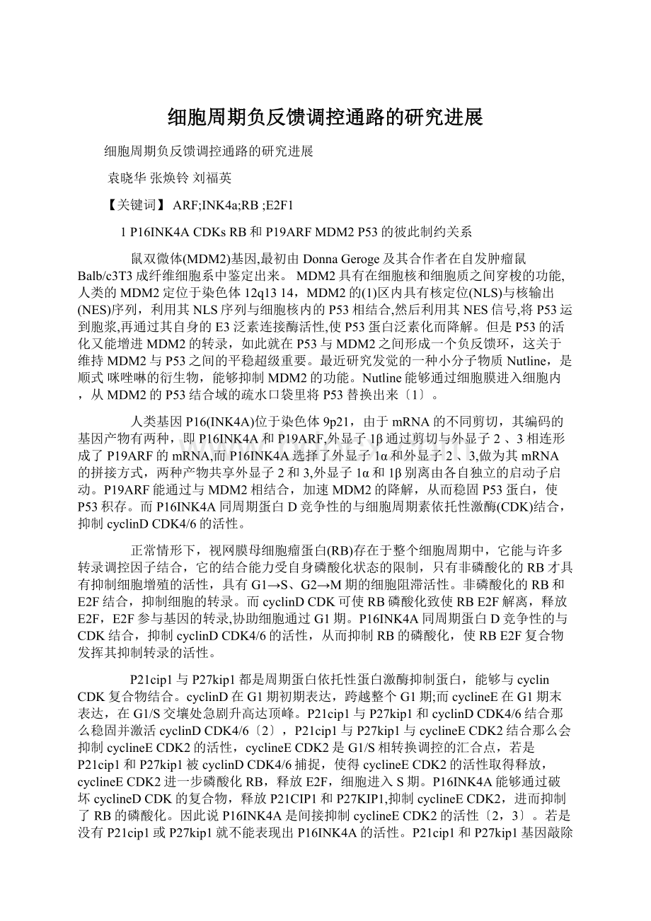 细胞周期负反馈调控通路的研究进展Word文档下载推荐.docx