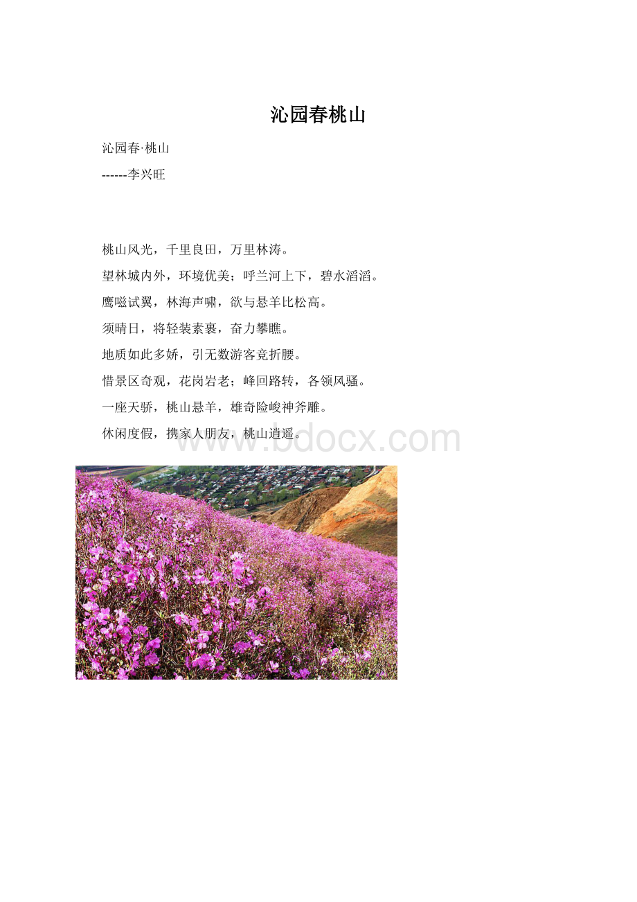 沁园春桃山Word文档格式.docx