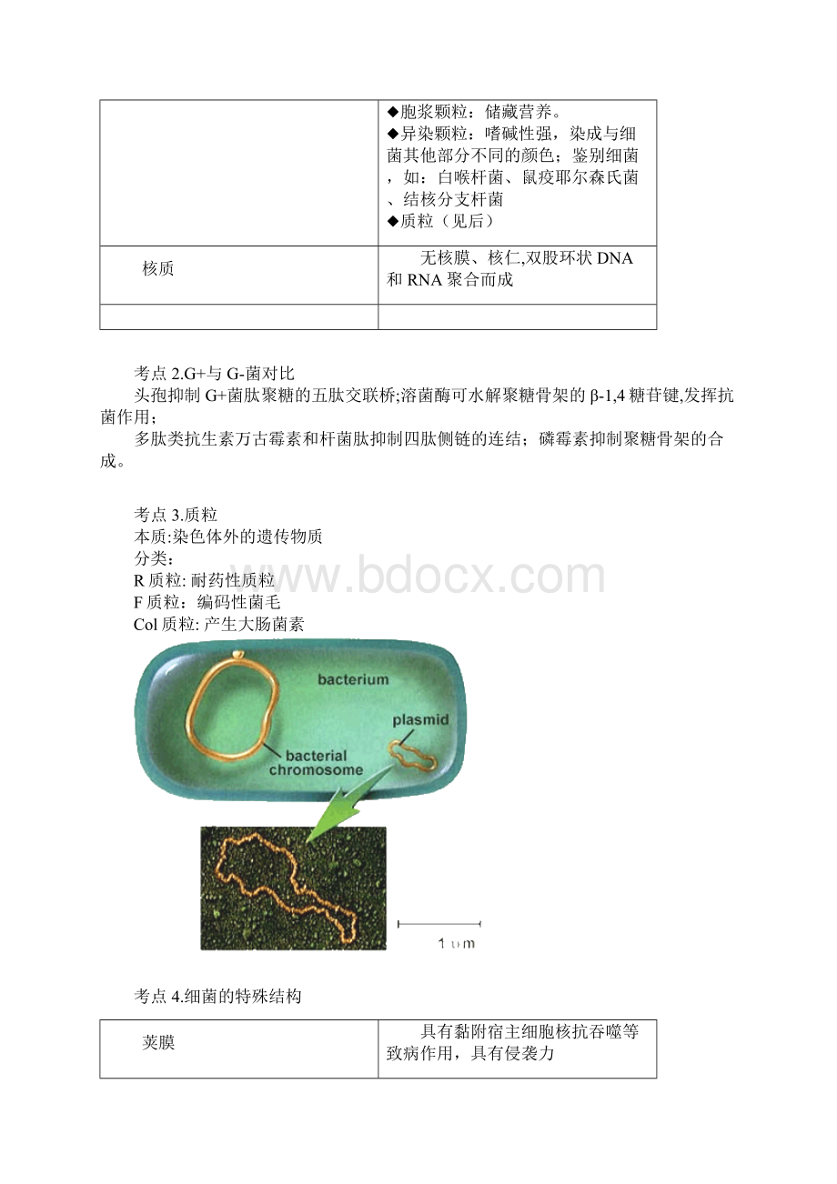 执业医师考试重点医学微生物学.docx_第3页