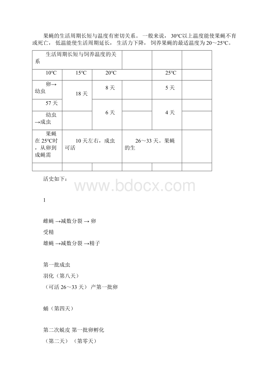 果蝇杂交实验实验报告.docx_第2页