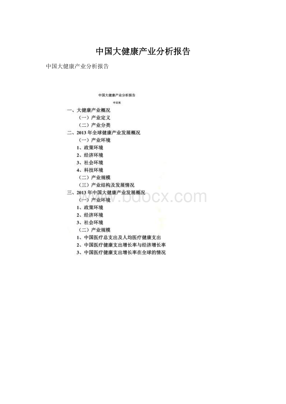 中国大健康产业分析报告Word格式文档下载.docx_第1页