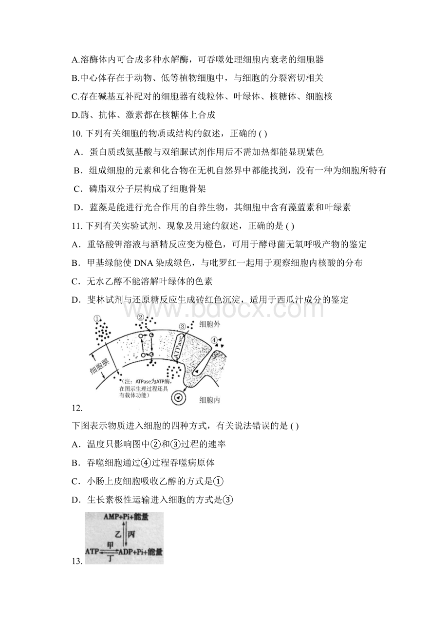 吉林省辽源市田家炳高级中学届高三第六十六届友好学校上学期期末联考生物试题 Word版含答案.docx_第3页