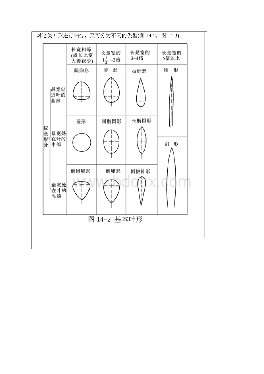 植物的茎叶花果.docx_第3页