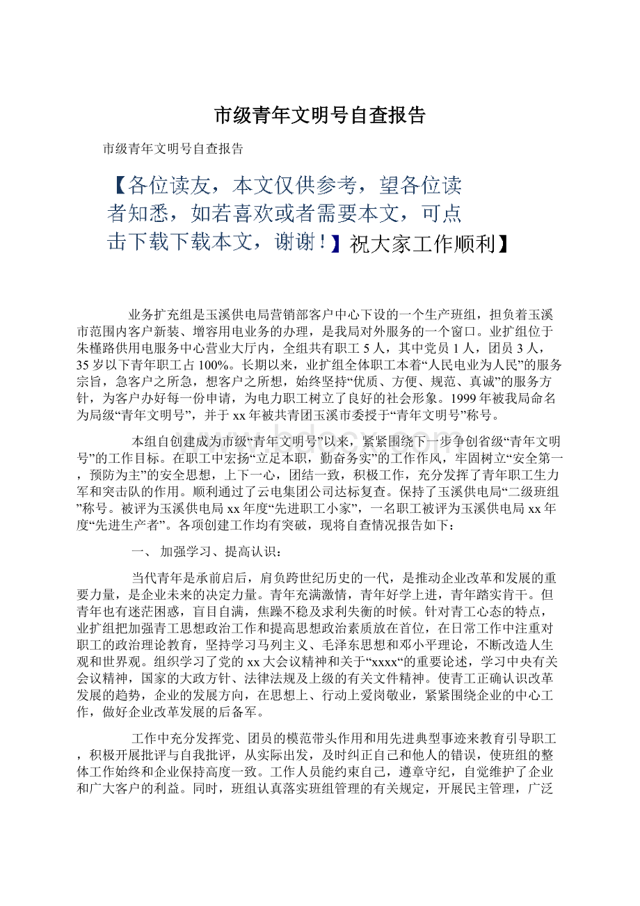 市级青年文明号自查报告.docx