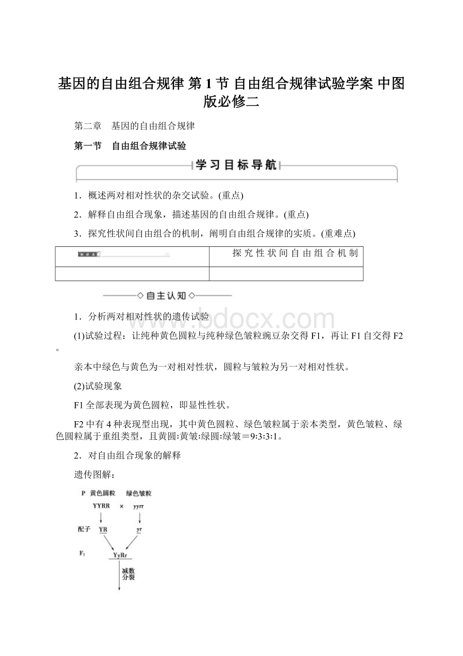 基因的自由组合规律 第1节 自由组合规律试验学案 中图版必修二.docx_第1页