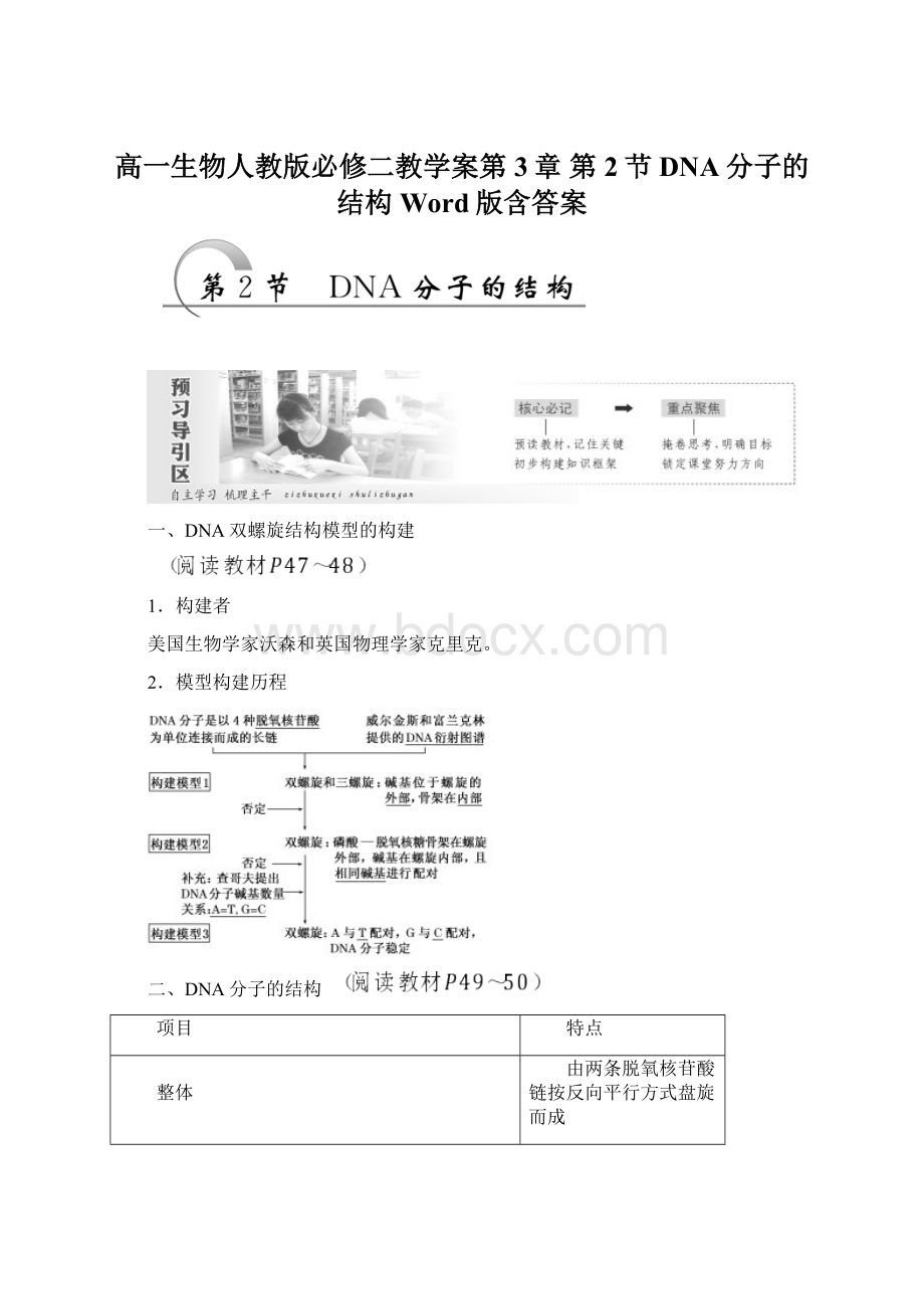 高一生物人教版必修二教学案第3章 第2节 DNA分子的结构 Word版含答案.docx