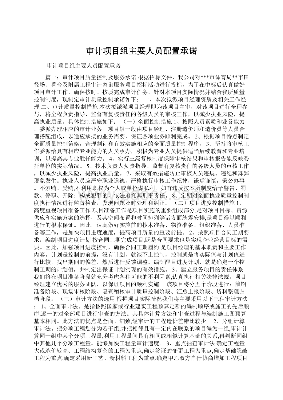 审计项目组主要人员配置承诺Word格式文档下载.docx