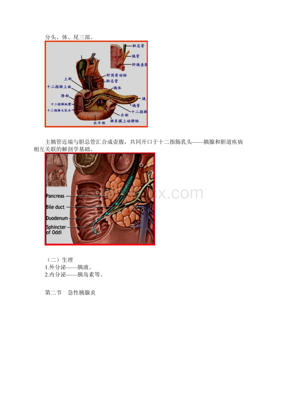 主管护师外科讲义第二十五章 胰腺疾病病人的护理.docx_第2页