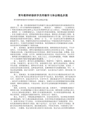 青年教师研修班学员师德学习体会精选多篇.docx