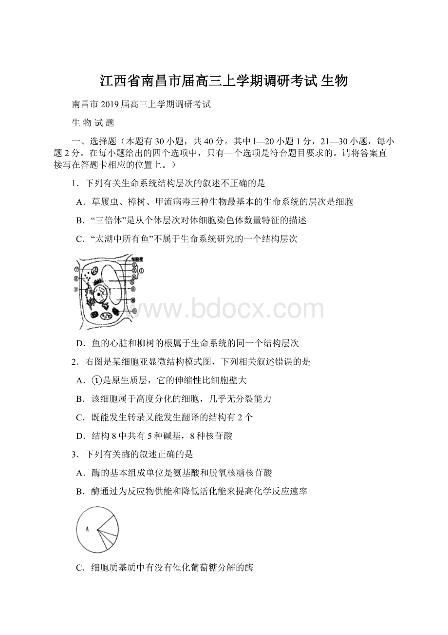 江西省南昌市届高三上学期调研考试 生物.docx_第1页