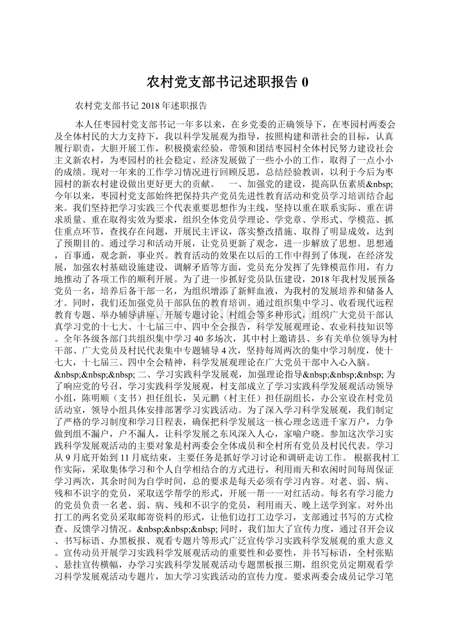 农村党支部书记述职报告0文档格式.docx