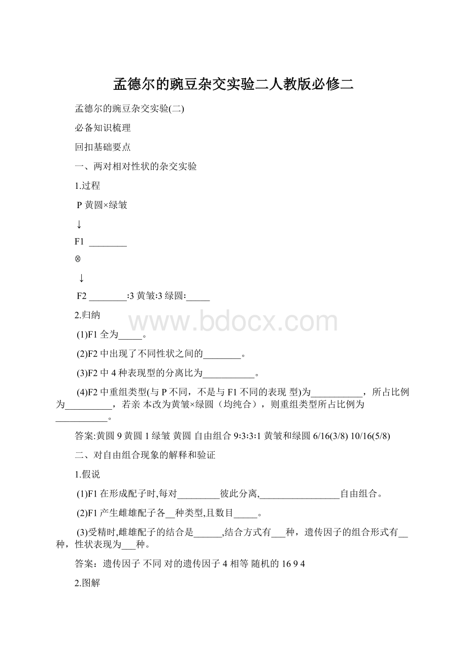 孟德尔的豌豆杂交实验二人教版必修二Word文档格式.docx_第1页