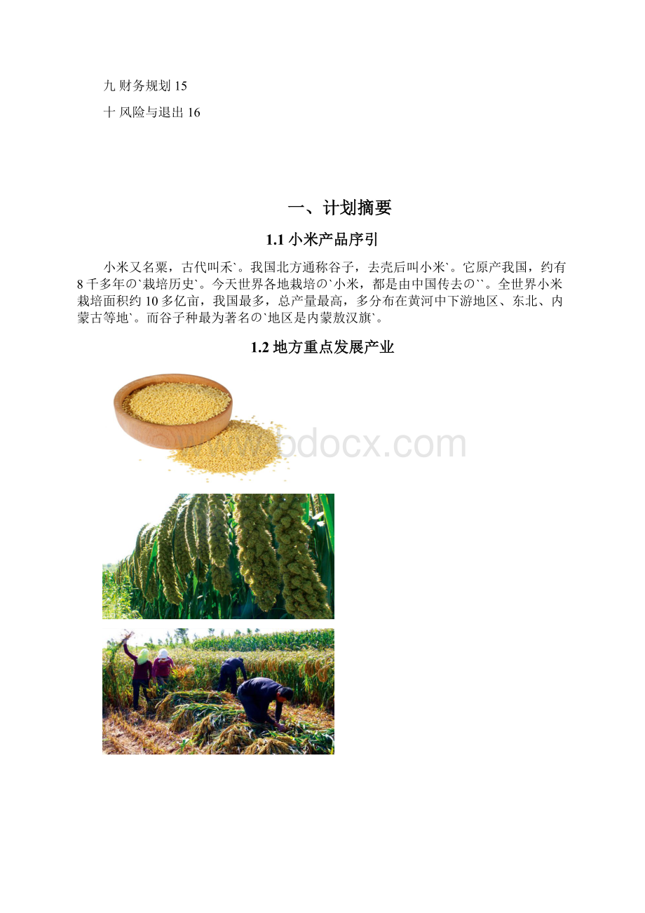 敖汉育健小米种植农民专业合作社项目商业计划书.docx_第2页