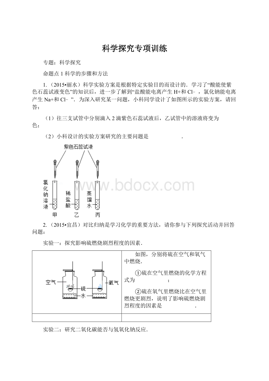 科学探究专项训练Word文档格式.docx