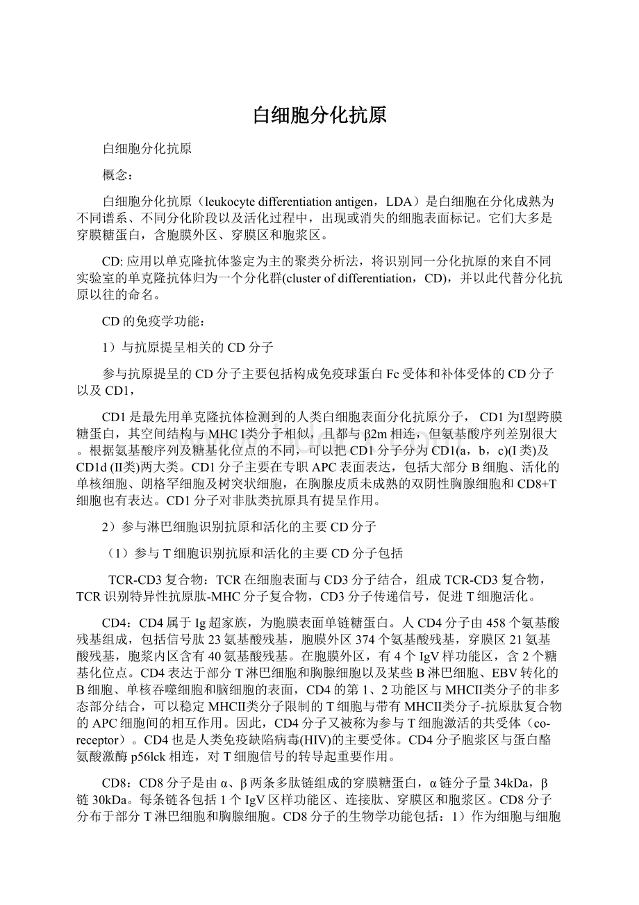 白细胞分化抗原Word文件下载.docx_第1页