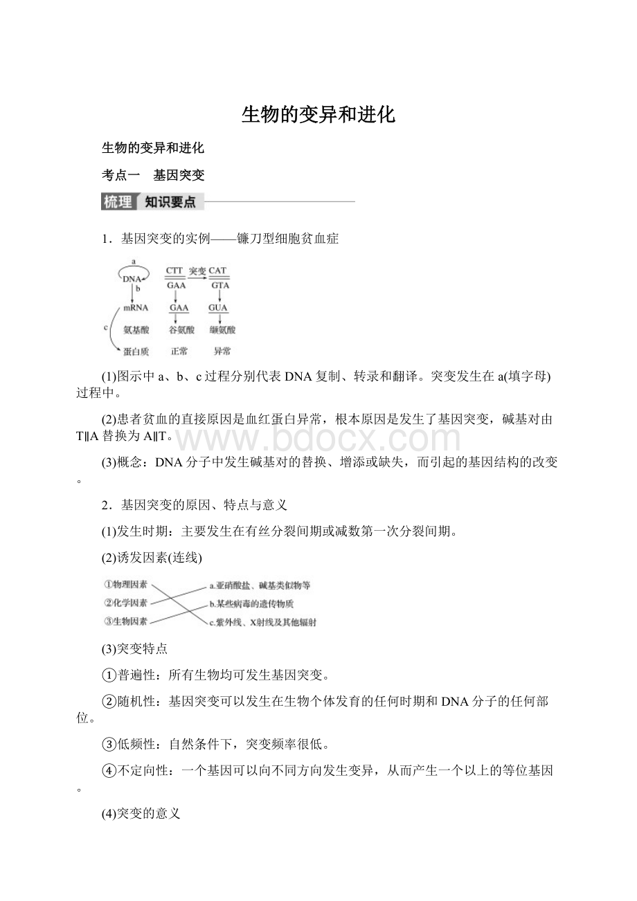 生物的变异和进化.docx_第1页