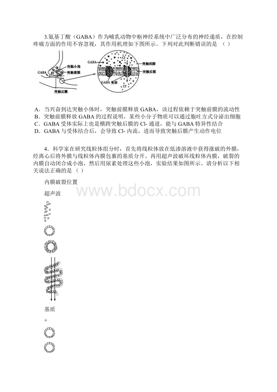 山东省枣庄二中届高三上学期测试一理综试题 Word版含答案Word下载.docx_第2页