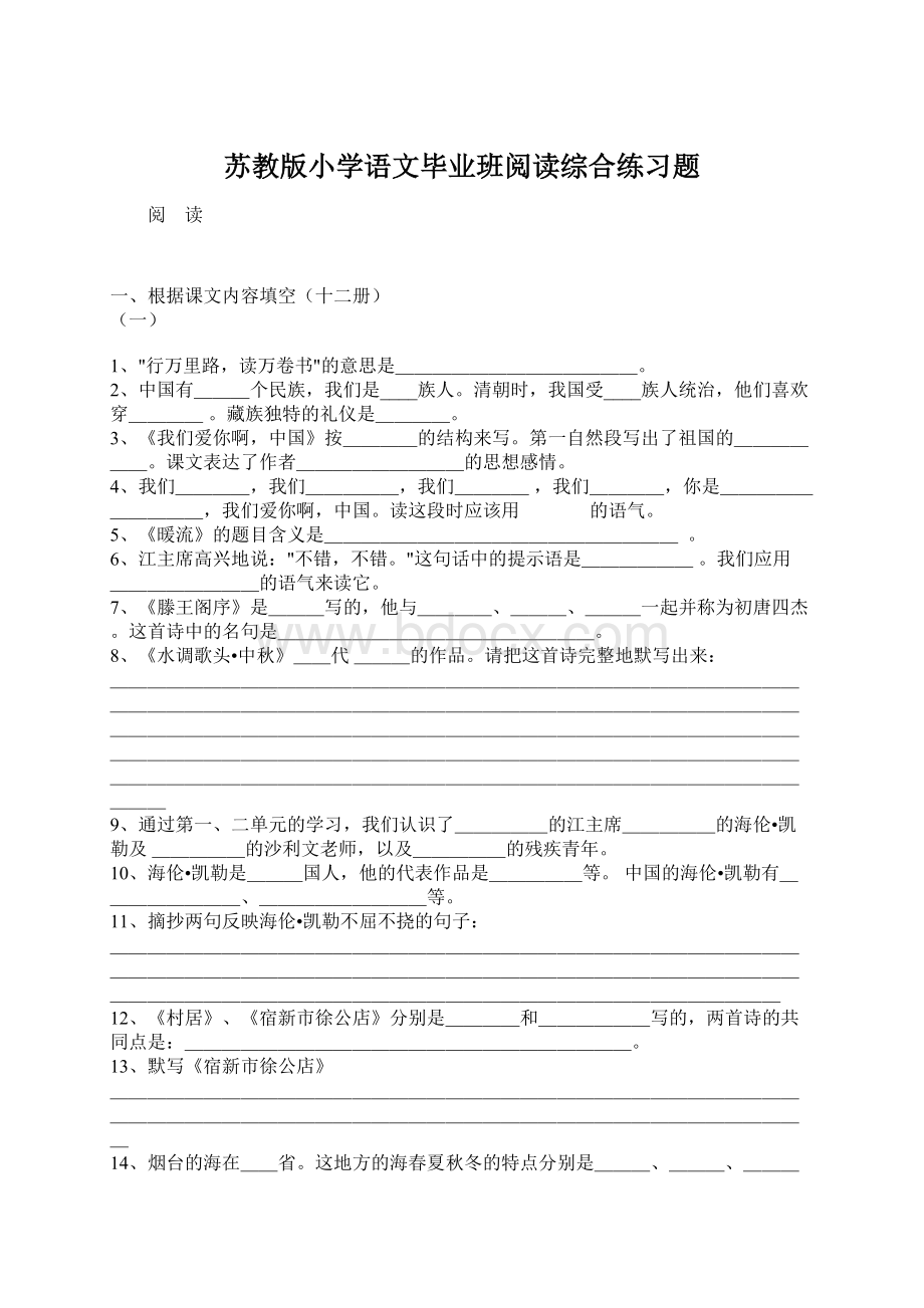 苏教版小学语文毕业班阅读综合练习题文档格式.docx