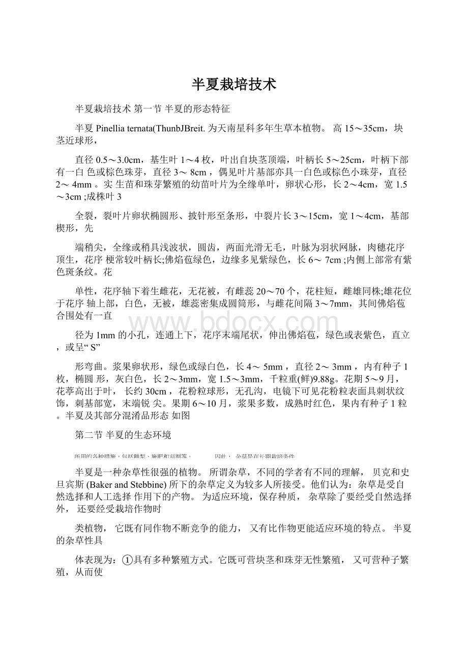 半夏栽培技术文档格式.docx