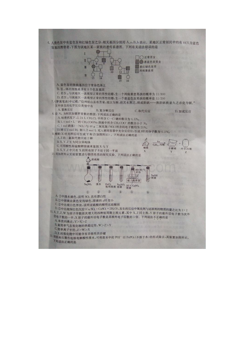 届安徽省亳州利辛一中高三第三次模拟考试理科理综试题.docx_第3页