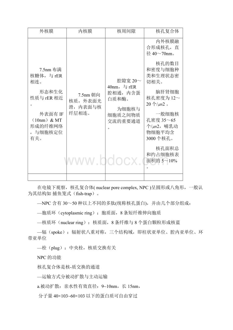 细胞生物学第八章总结.docx_第2页