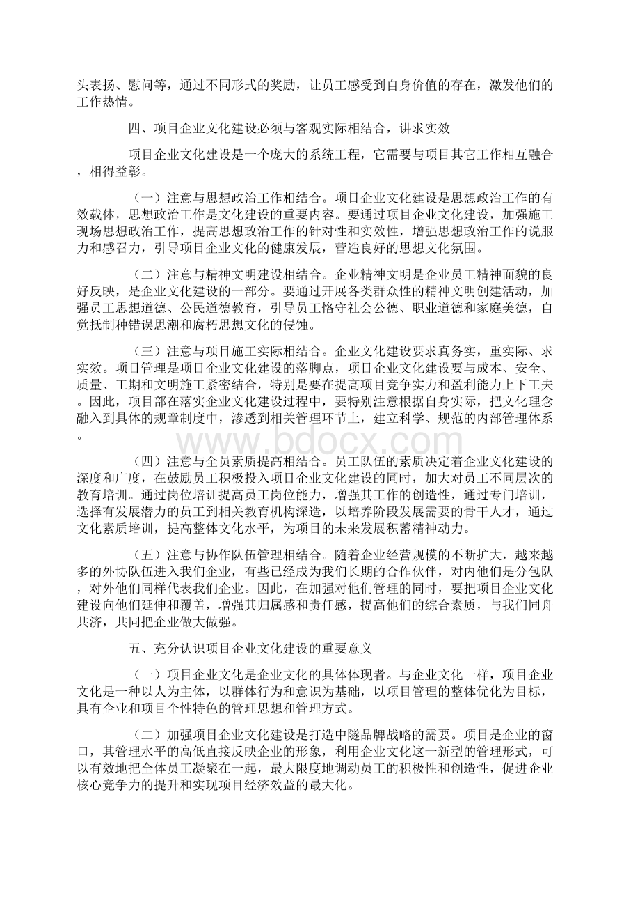 关于项目企业文化建设的几点思考.docx_第3页