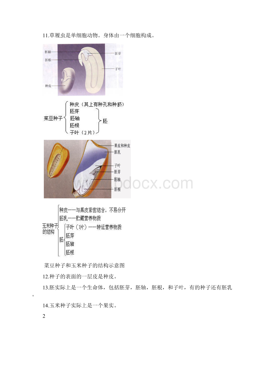 人教版初中生物含图含习题备用题库.docx_第3页