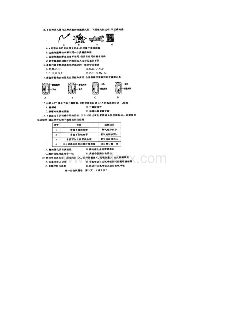 学年上期期末考试 高中一年级 生物Word文档下载推荐.docx_第3页