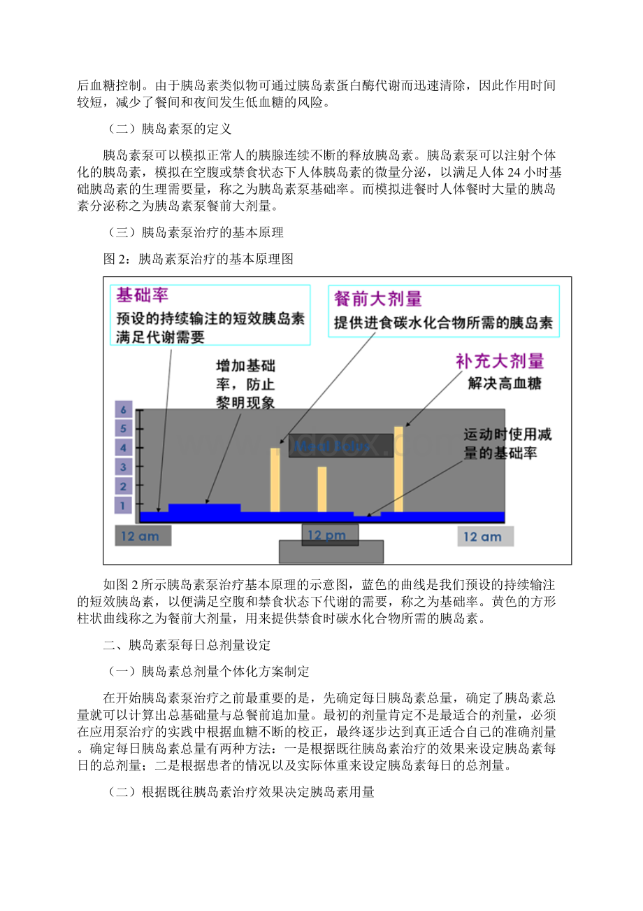 胰岛素泵基础率的设定与调整资料.docx_第2页