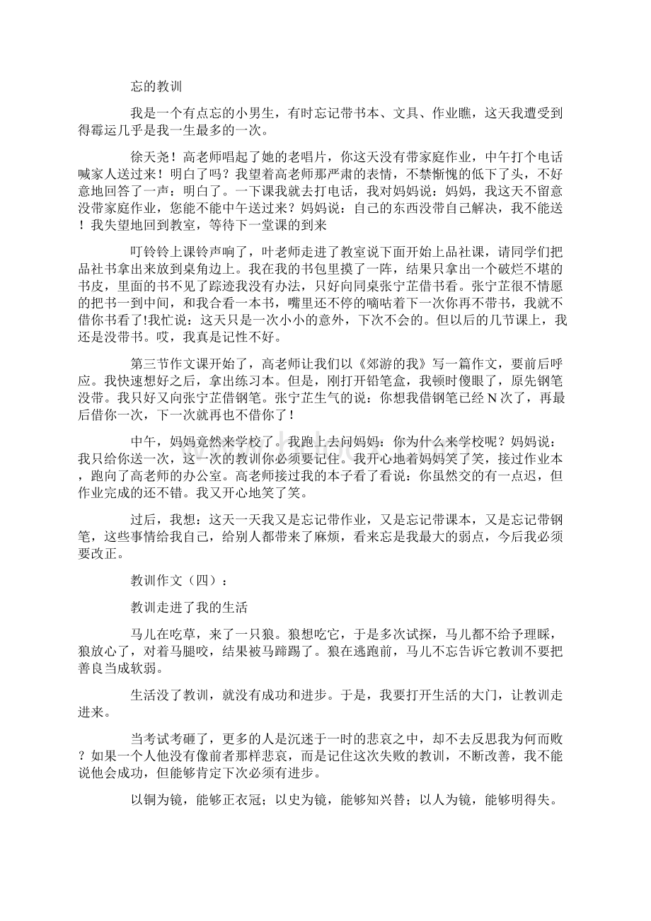 教训作文20篇Word文档下载推荐.docx_第2页