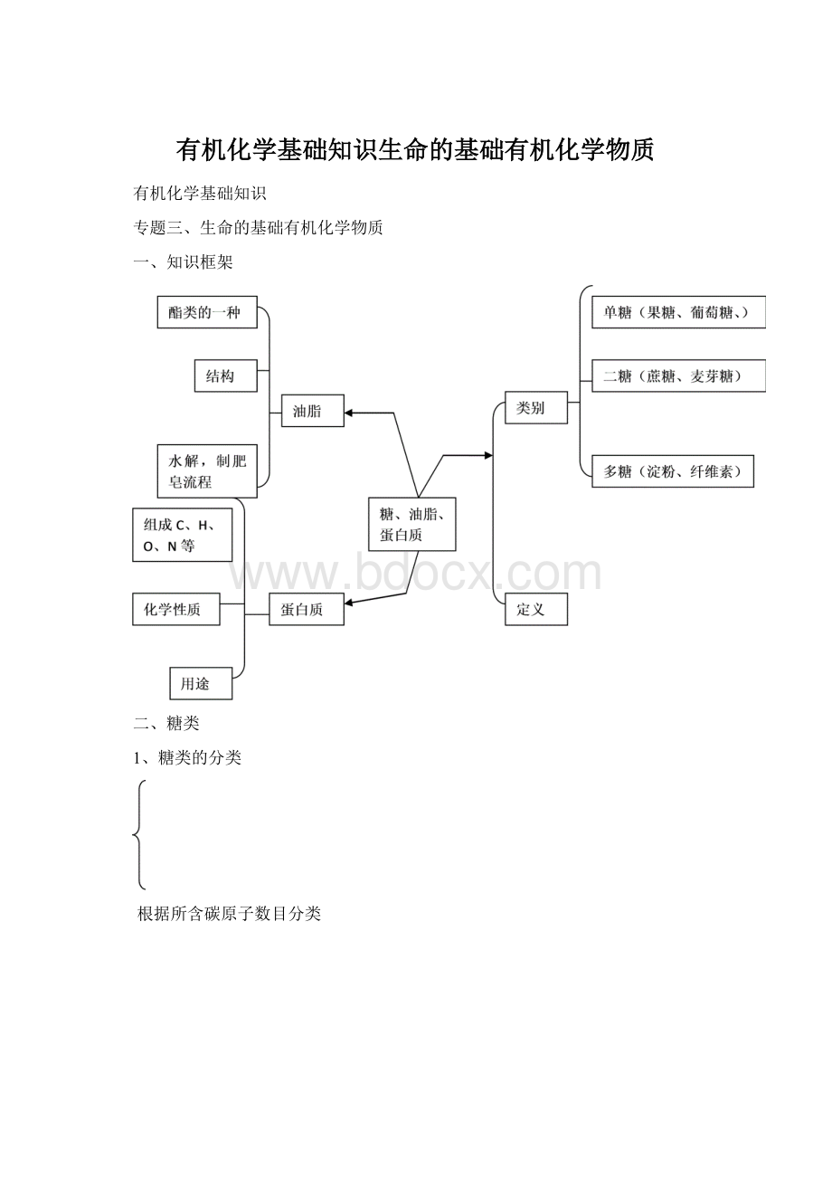 有机化学基础知识生命的基础有机化学物质.docx