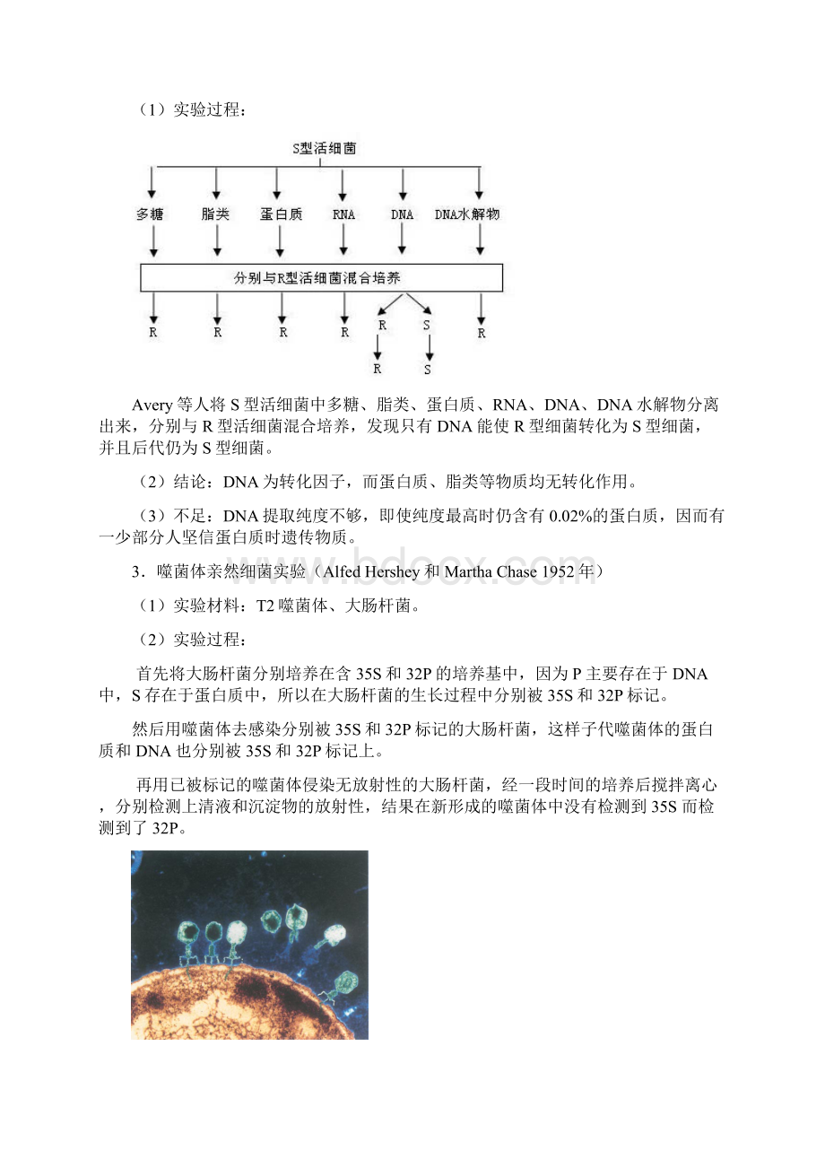 竞赛辅导专题讲座 专题八 基因与分子生物学.docx_第2页