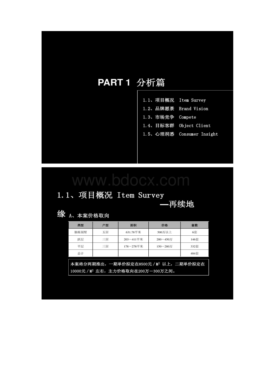 地产广告 朱雀门整合提案概况Word格式.docx_第3页