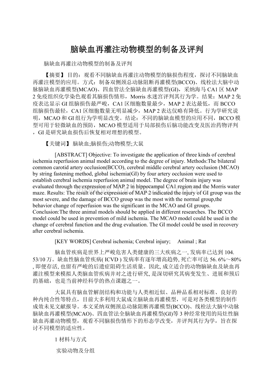 脑缺血再灌注动物模型的制备及评判文档格式.docx_第1页