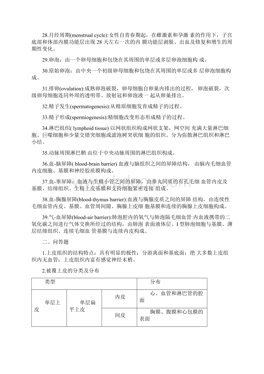 组织学与胚胎学 组织学知识点总结.docx_第3页